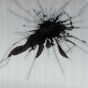 Meet your Posher, Rexmo